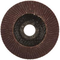 Круг лепестковый КЛТ 125 Х 22 А 80 (14А 20/Р80) (10 шт)