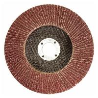 Круг лепестковый КЛТ 180 Х 22 А 60 (14А 10/Р60) (10шт) ЛУГА